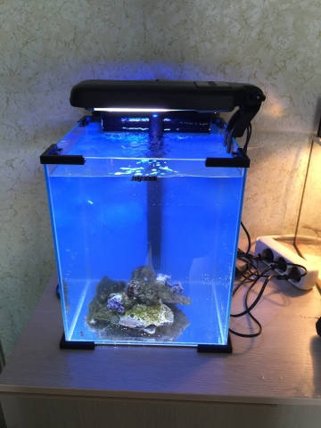 Nano reef 3